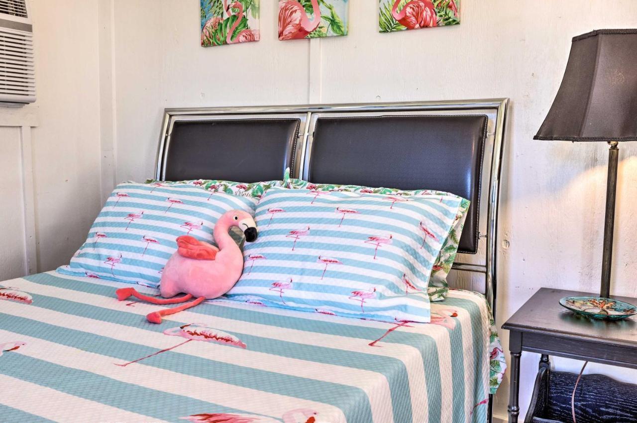 Flirty Flamingo Studio 1 Mi To Canyon Lake Dış mekan fotoğraf